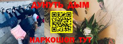 герыч Кингисепп