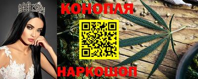 герыч Кингисепп
